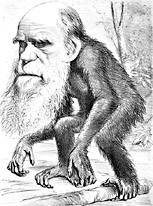 Charles Darwin - als Mensch mit Affenkörper